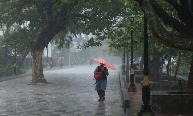  എറണാകുളം, കോട്ടയം, ആലപ്പുഴ, പത്തനംതിട്ട, ജില്ലകളിൽ ഓറഞ്ച് അലർട്ടും കൊല്ലം, തിരുവനന്തപുരം ജില്ലകളിൽ യെല്ലോ അലർട്ടും പ്രഖ്യാപിച്ചിട്ടുള്ളത്. മണിക്കൂറിൽ 50 കിലോമീറ്റർ വരെ വേഗതയിൽ ശക്തമായ കാറ്റിനും സാധ്യതയുണ്ടെന്നും കാലാവസ്ഥാ നിരീക്ഷണ കേന്ദ്രത്തിന്റെ മുന്നറിയിപ്പുണ്ട്.