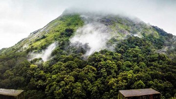 പാവപ്പെട്ടവൻ്റെ ഊട്ടി; നെല്ലിദേവതയുടെ നെല്ലിയാമ്പതിയുടെ വിശേഷങ്ങൾ