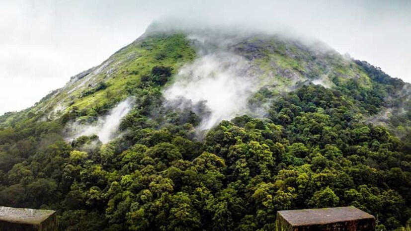  പാലക്കാട് ജില്ലയിലെ നെന്മാറ ടൗണില്‍ നിന്ന് മേഘങ്ങള്‍ ഓമനിക്കുന്ന നെല്ലിയാമ്പതി മലനിരകള്‍ ആരേയും ആകര്‍ഷിക്കുന്ന കാഴ്ചയാണ്. 467 മീറ്റര്‍ മുതല്‍ 1572 മീറ്റര്‍ വരെയാണ് കടല്‍ നിരപ്പില്‍ നിന്ന് ഈ മലനിരകളുടെ ഉയരം. പാലക്കാടന്‍ സമതലങ്ങളുടെ ചൂടില്‍ നിന്ന് നെല്ലിയാമ്പതി മലനിര കളുടെ ഈ കാഴ്ച തന്നെ കുളിര്‍മ്മയേകും.