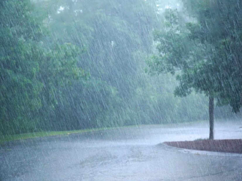 Rain