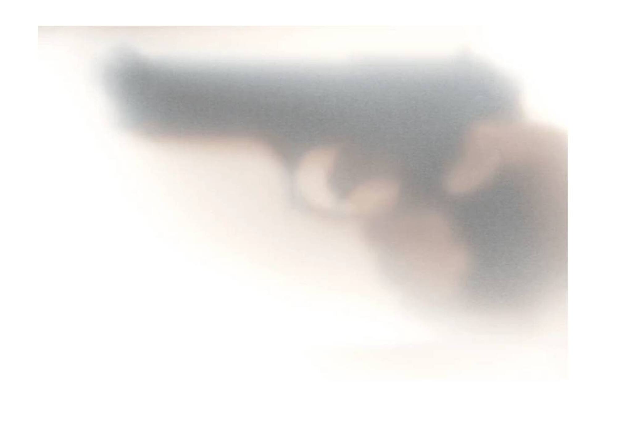 തിരുവനന്തപുരത്ത് സ്ത്രീയെ വെടിവെച്ചത് കുറിയർ നൽകാനെന്ന പേരിലെത്തിയ സ്ത്രീ