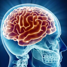 World Brain Day | ശരീരത്തിലെ നാഡീ വ്യവസ്ഥയുടെ കേന്ദ്രഭാഗം; മസ്തിഷ്ക രോഗങ്ങളെക്കുറിച്ചറിയാം World Brain Day | ശരീരത്തിലെ നാഡീ വ്യവസ്ഥയുടെ കേന്ദ്രഭാഗം; മസ്തിഷ്ക രോഗങ്ങളെക്കുറിച്ചറിയാം