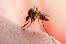 World Mosquito day; ഇന്ത്യയിലെ കൊതുക് ജന്യ രോഗവ്യാപനവും അവ നിയന്ത്രിക്കാനുള്ള നൂതനാശയങ്ങളും