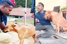 'ഇന്നും മഴ കാണുമ്പോൾ അവൾ ചെവി താഴ്ത്തിയിരിക്കും'; പെട്ടിമുടിയിലെ കുവി ഹാപ്പിയാണ്