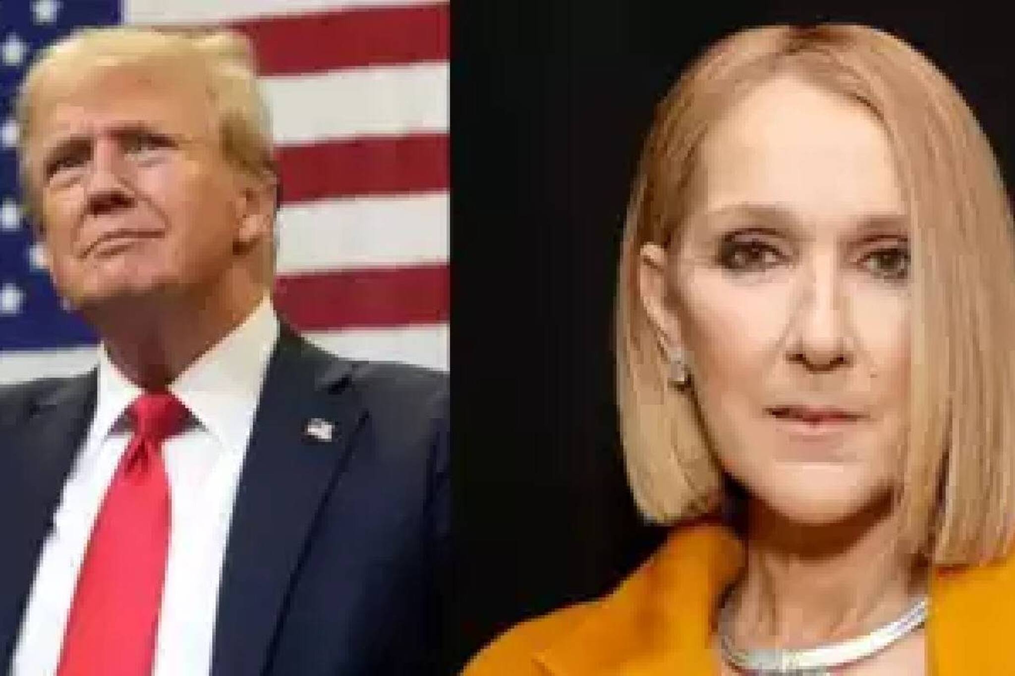 ടൈറ്റാനിക് ഗാനം തിരഞ്ഞെടുപ്പ് റാലിയിൽ അനുവാദമില്ലാതെ ഉപയോഗിച്ചു; ട്രംപിനെതിരെ ഗായിക സെലിന്‍ ഡിയോണ്‍