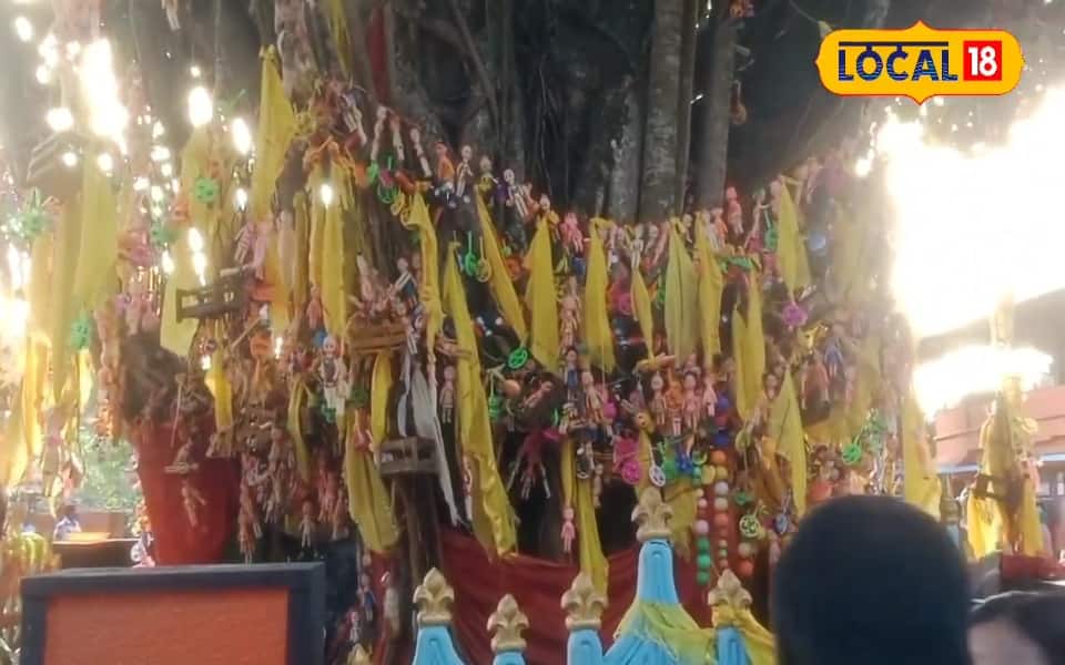 ക്ഷേത്രത്തിൽ നിന്നുള്ള ദൃശ്യം