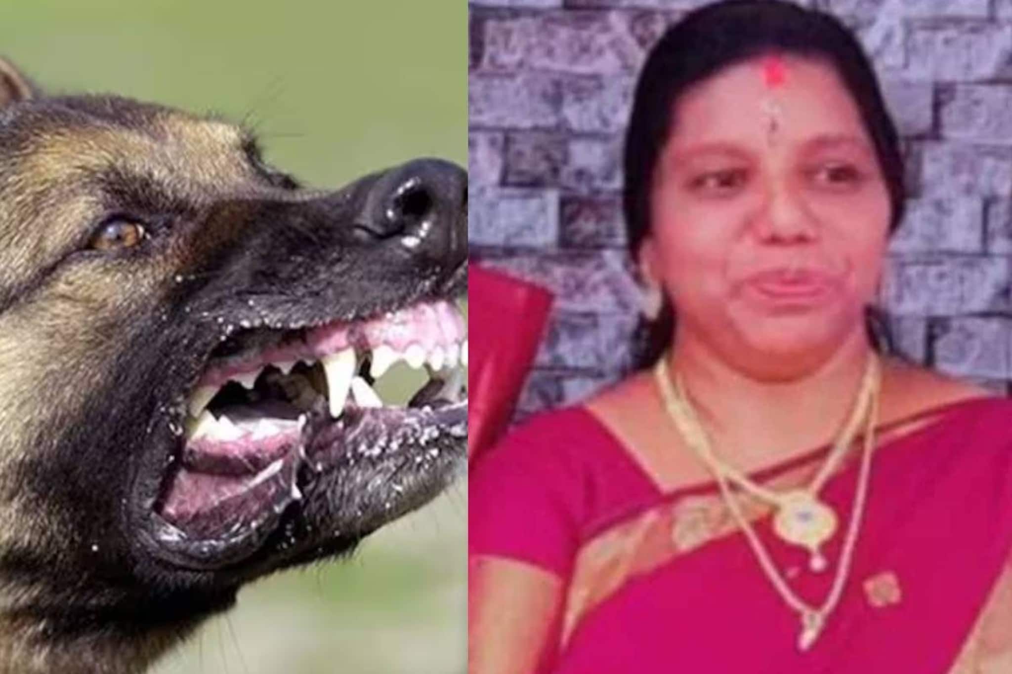 വളർത്തുനായയുടെ നഖം കൊണ്ട് മുറിവേറ്റത് കാര്യമാക്കിയില്ല; തിരുവനന്തപുരത്ത് പേ വിഷബാധയേറ്റ വീട്ടമ്മ മരിച്ചു
