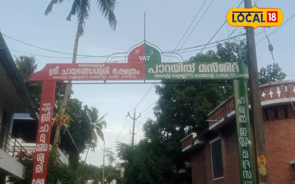 സോഷ്യൽ മീഡിയയിൽ തരംഗമായ ആർച്ച്