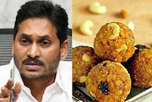 തിരുപ്പതി ലഡു വിവാദം; ഭക്തരുടെ വികാരം വ്രണപ്പെടുത്തി ചന്ദ്രബാബു നായിഡു രാഷ്ട്രീയം കളിക്കുന്നുവെന്ന് ജഗൻ