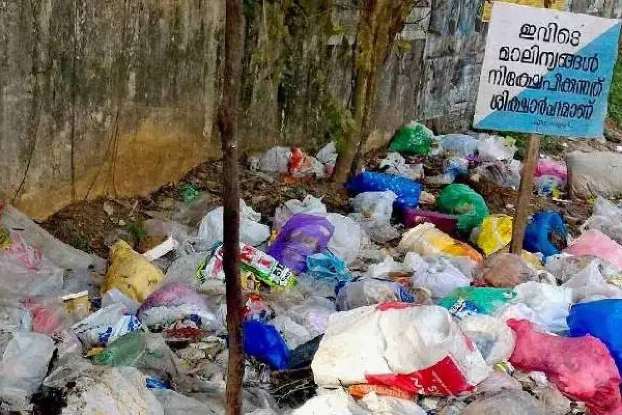 മാലിന്യം വലിച്ചെറിയുന്നവരെ കുടുക്കിയാൽ 2500 രൂപ വരെ പാരിതോഷികം; വാട്‌സാപിലൂടെ പരാതി നല്‍കാം