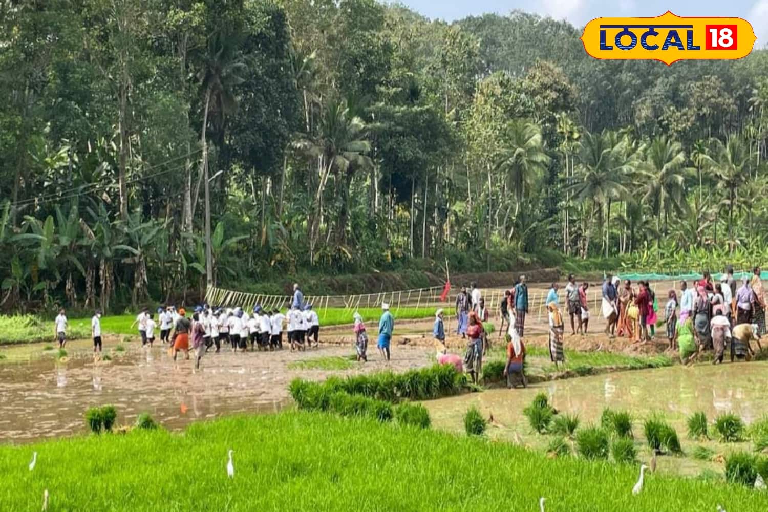 പുരസ്കാര നിറവിൽ പുല്ലമ്പാറ 