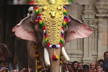 മലയാളത്തിലെ സൂപ്പർ സ്റ്റാറുകളേക്കാൾ അഞ്ച് ഗജവീരന്മാർ; ഒന്നാമന് ഒരു ദിവസം ആറര ലക്ഷം