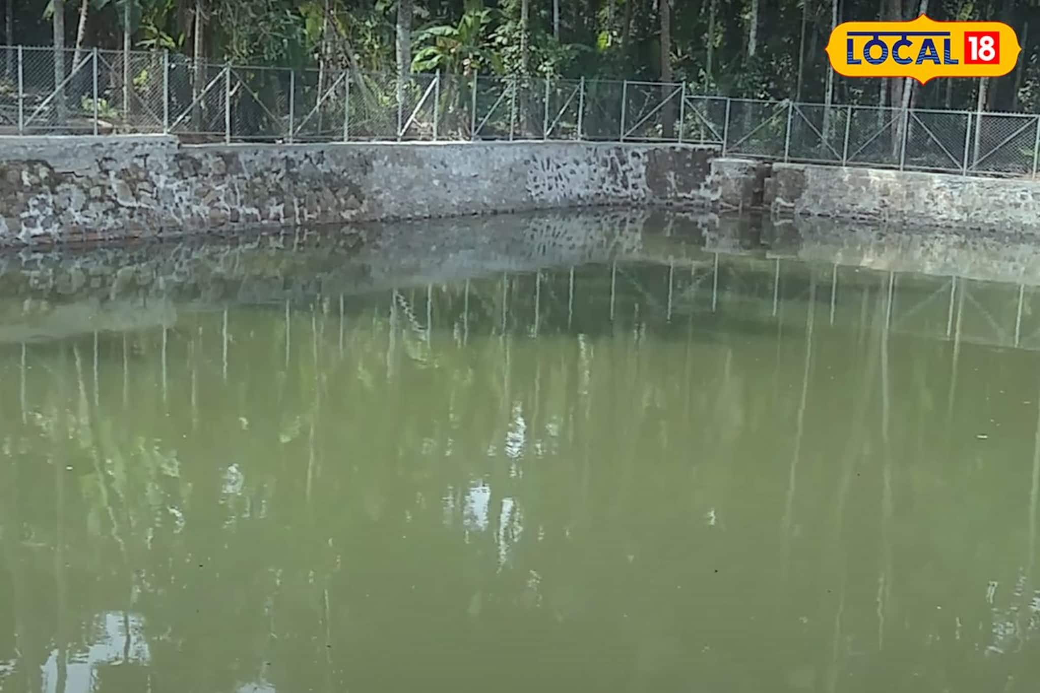 തവളകൾ കരയാത്ത ഒരു കുളത്തിന്‍റെ കഥ