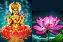 Diwali 2024|ദീപാവലിക്ക് ലക്ഷ്മിദേവിയെ ആരാധിക്കുമ്പോൾ താമരയ്ക്ക് ഏറെ പ്രാധാന്യമുണ്ട്! ഈ മന്ത്രവും ജപിച്ചാൽ ഐശ്വര്യം