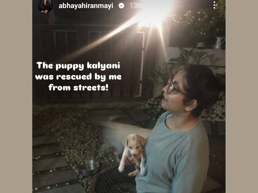 തെരുവിൽ നിന്നും കണ്ടെത്തുമ്പോഴത്തെ കല്യാണിക്കൊപ്പം നിൽക്കുന്ന തന്റെ ഫോട്ടോയും ക്യാപ്‌ഷനുമാണ് അഭയ ഹിരണ്മയി പോസ്റ്റ് ചെയ്തിരിക്കുന്നത്. പിരിഞ്ഞപ്പോൾ, വളർത്തു നായ്ക്കളിൽ ആരെല്ലാം ഗോപിയുടെ ഒപ്പവും ആരെല്ലാം അഭയ ഹിരണ്മയിയുടെ ഒപ്പവും പോയി എന്ന കാര്യത്തിൽ വ്യക്തതയില്ല. സംഗീതം, മോഡലിംഗ് രംഗങ്ങളിൽ വ്യാപൃതയായ അഭയ ഹിരണ്മയി ഡൽഹിയിൽ എത്തി അവിടെ നിന്നും ലണ്ടനിലേക്ക് യാത്ര ചെയ്യാൻ പോകുന്നു എന്ന വിവരമാണ് ഏറ്റവും ഒടുവിലായി ഇൻസ്റ്റഗ്രാമിൽ പോസ്റ്റ് ചെയ്തത്  
