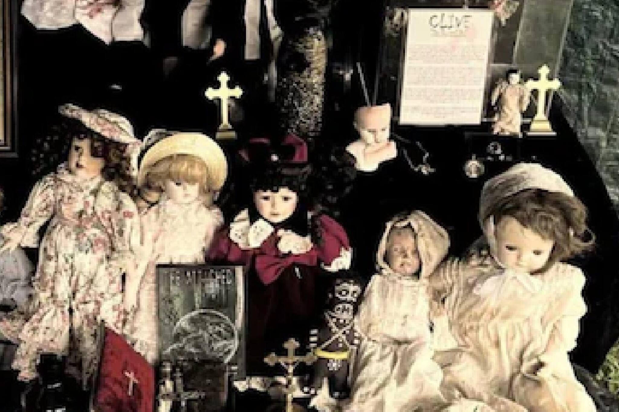 യുകെയിലെ ജൂനിയർ മാൻഡ്രേക്കിനെ  സന്തോഷത്തോടെ വാങ്ങിയ 42കാരിക്ക് സംഭവിച്ചത്