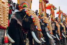 ആനകൾക്ക് ഇനി കുറി വേണ്ട; ലംഘിച്ചാൽ പാപ്പാന്മാർക്ക് പിഴയെന്ന് ​ഗുരുവായൂർ ദേവസ്വം