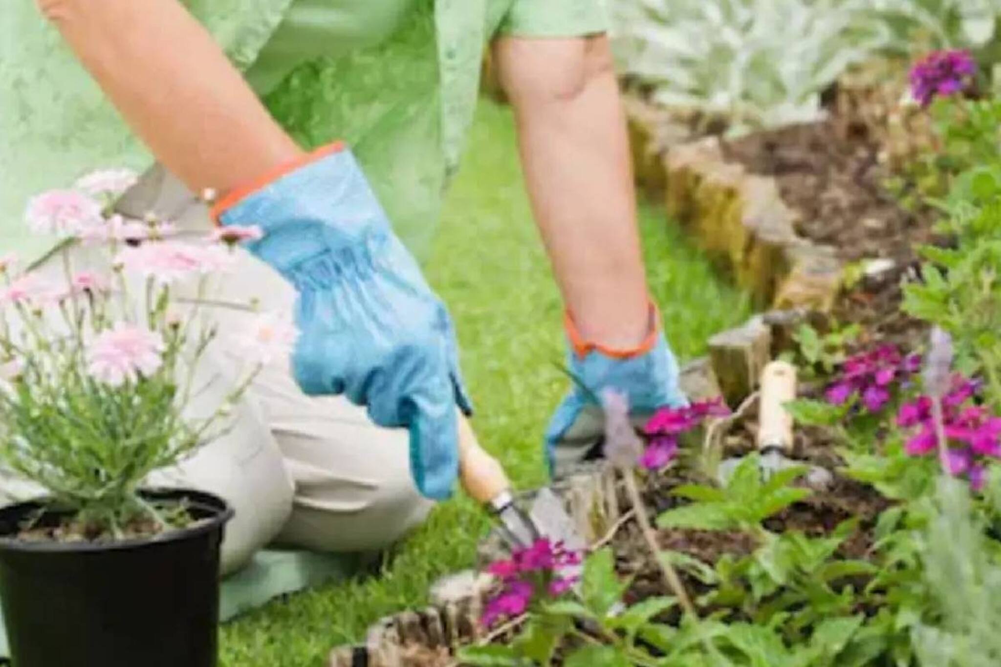 ചെടികളോടുള്ള പ്രണയം ബിസിനസാക്കിയ യുവതി പ്രതിവര്‍ഷം സമ്പാദിക്കുന്നത് ഒരു കോടി രൂപ