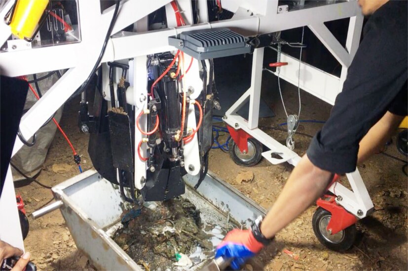  ബാന്‍റികൂട്ട് മാലിന്യങ്ങൾ പുറത്തെടുക്കുന്നു