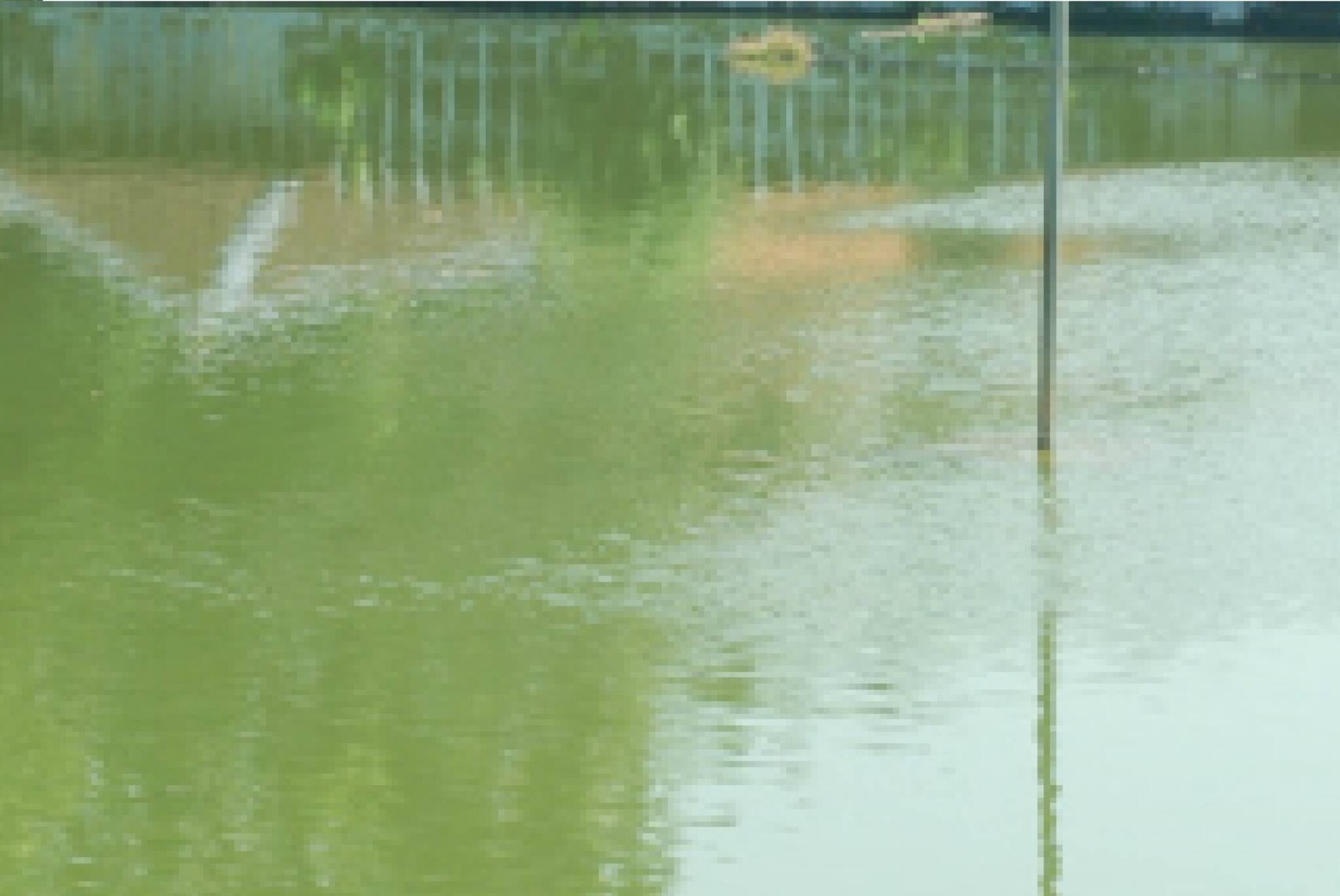 ചെറുവാടിപ്പുഴയില്‍ അച്ഛനും മക്കളും ഒഴുക്കില്‍പ്പെട്ടു; പിതാവ് മരിച്ചു