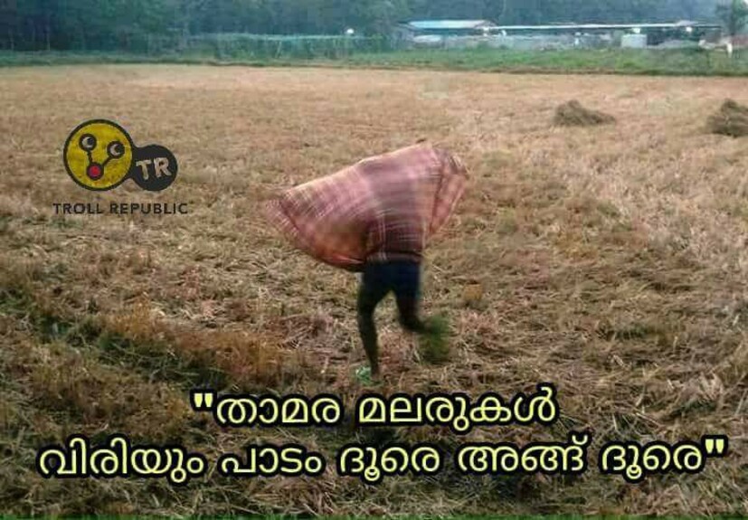  താമര മലരുകൾ...
