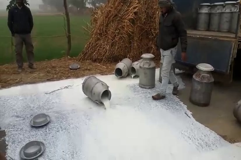  പഞ്ചാബിലെ മച്ചിവാര മേഖലയിൽ റോഡിൽ പാൽ മറിച്ചപ്പോൾ (രാഹുൽ, ന്യൂസ് 18)