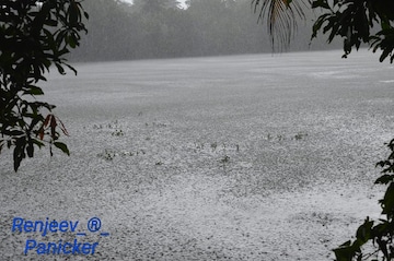 മഴക്കാലമല്ലേ... മഴക്കാലമല്ലേ...