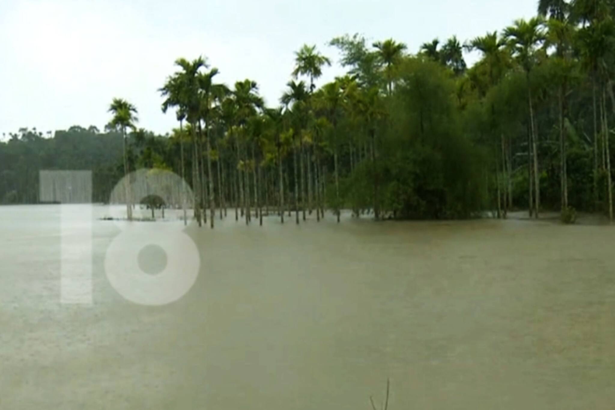 മഴക്കെടുതി:വയനാട് ജില്ലയിൽ കോടികളുടെ കൃഷിനാശം