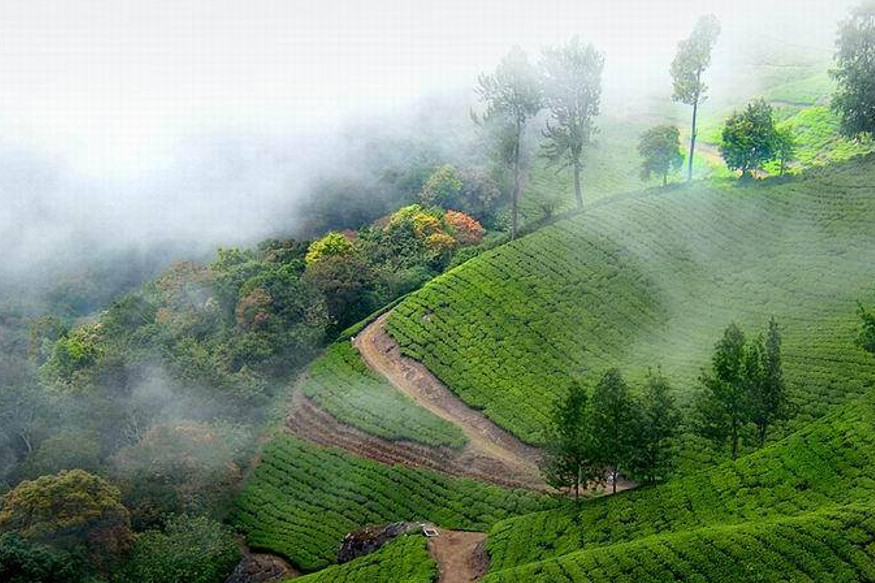 മൂന്നാർ