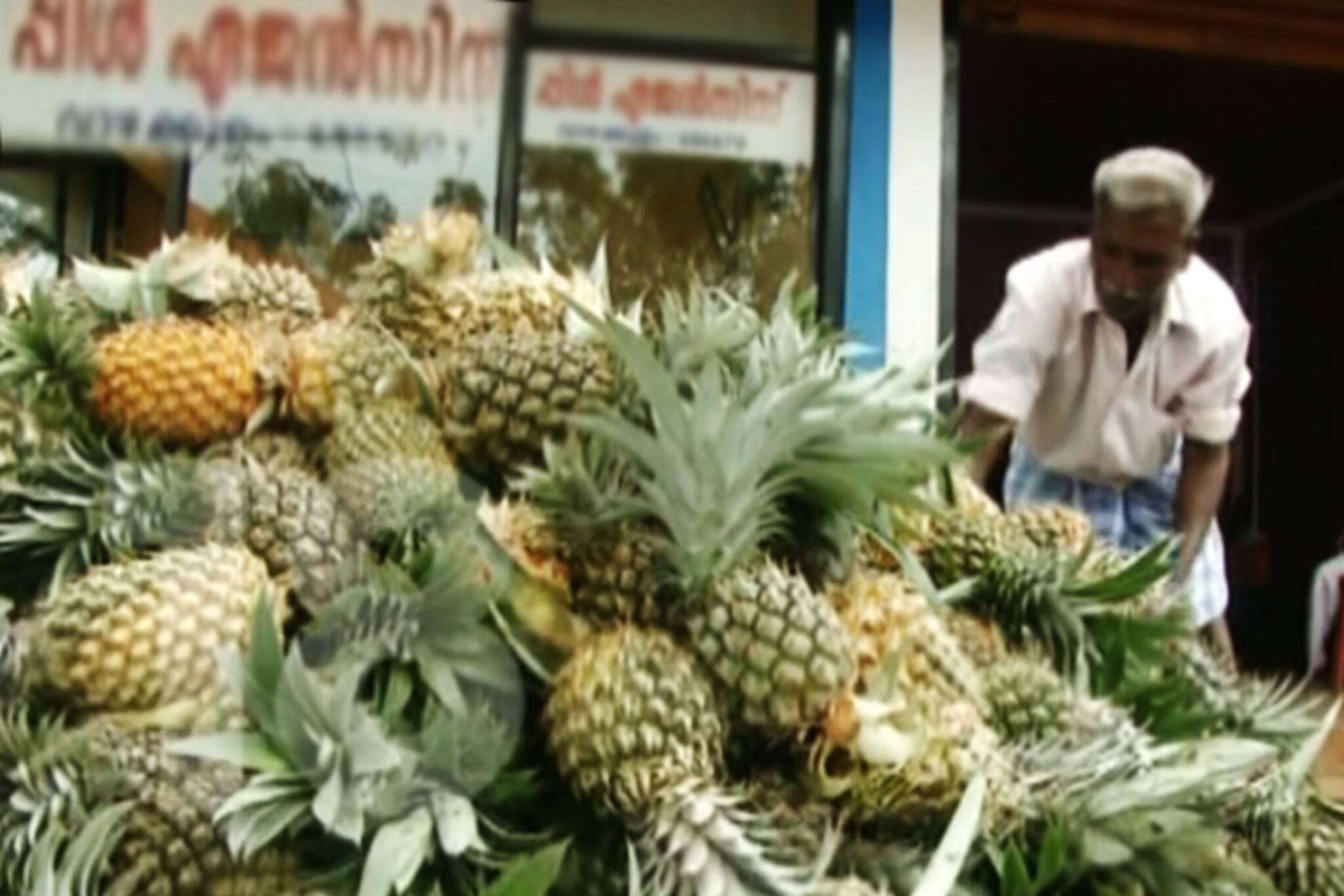 ലോറി സമരം : പൈനാപ്പിൾ  വിപണി പ്രതിസന്ധിയിൽ