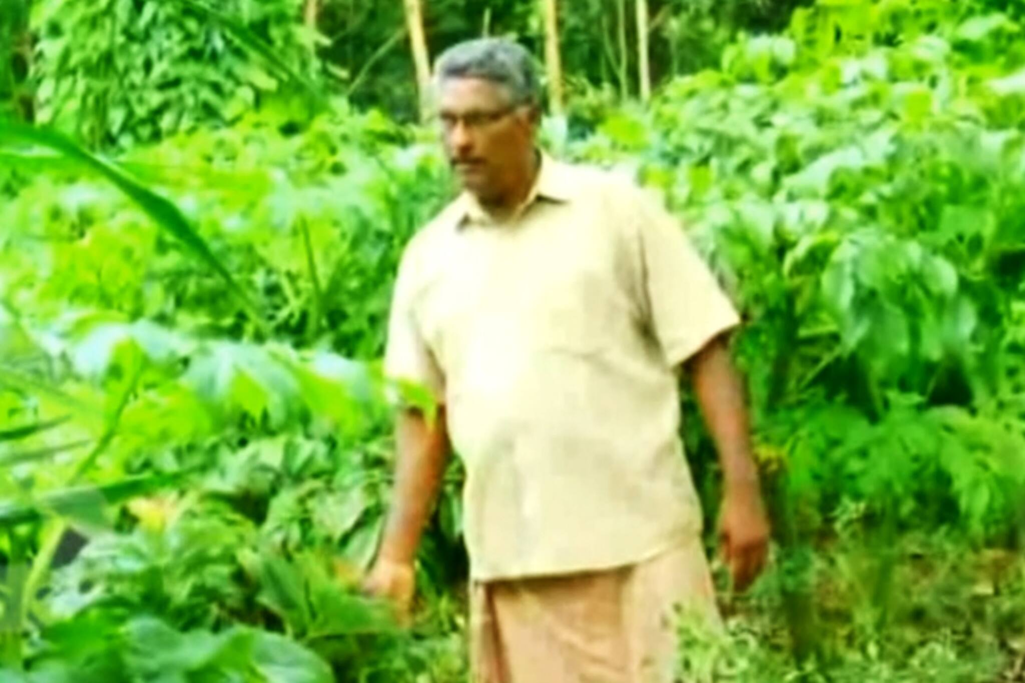 കൂട്ടുകൃഷിയിലൂടെ വിജയം കൊയ്‌ത് സാമുവേൽ