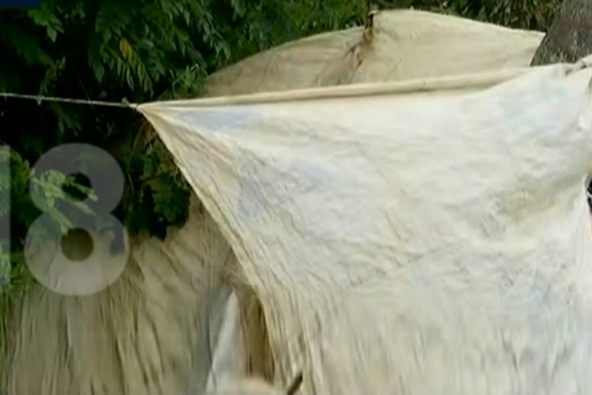 ശുചിമുറികളില്ലാതെ കുട്ടനാട്