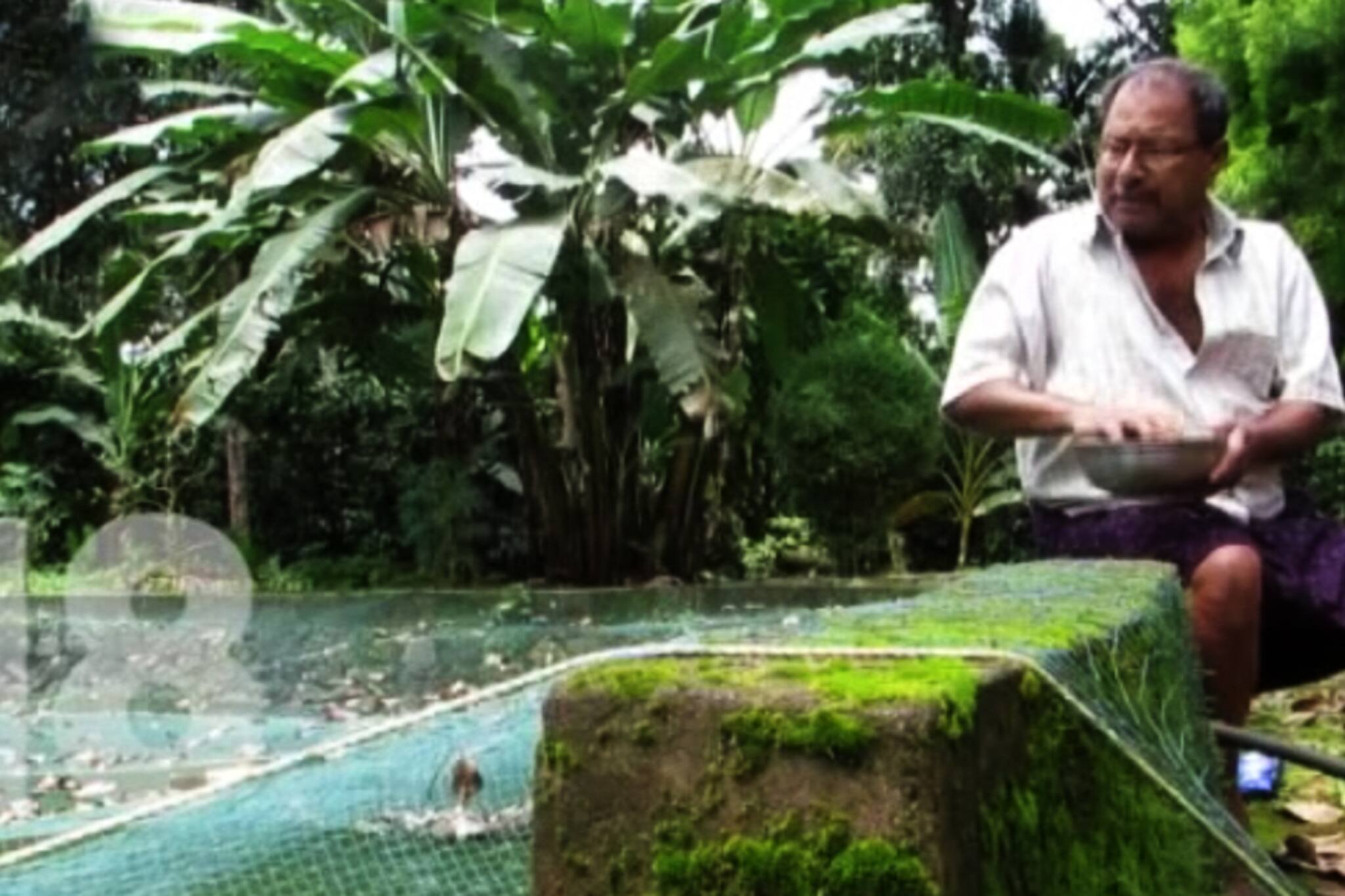 ശുദ്ധജല മത്സ്യകൃഷിയിൽ നേട്ടം കൊയ്‌ത് കുഞ്ഞുവർക്കി