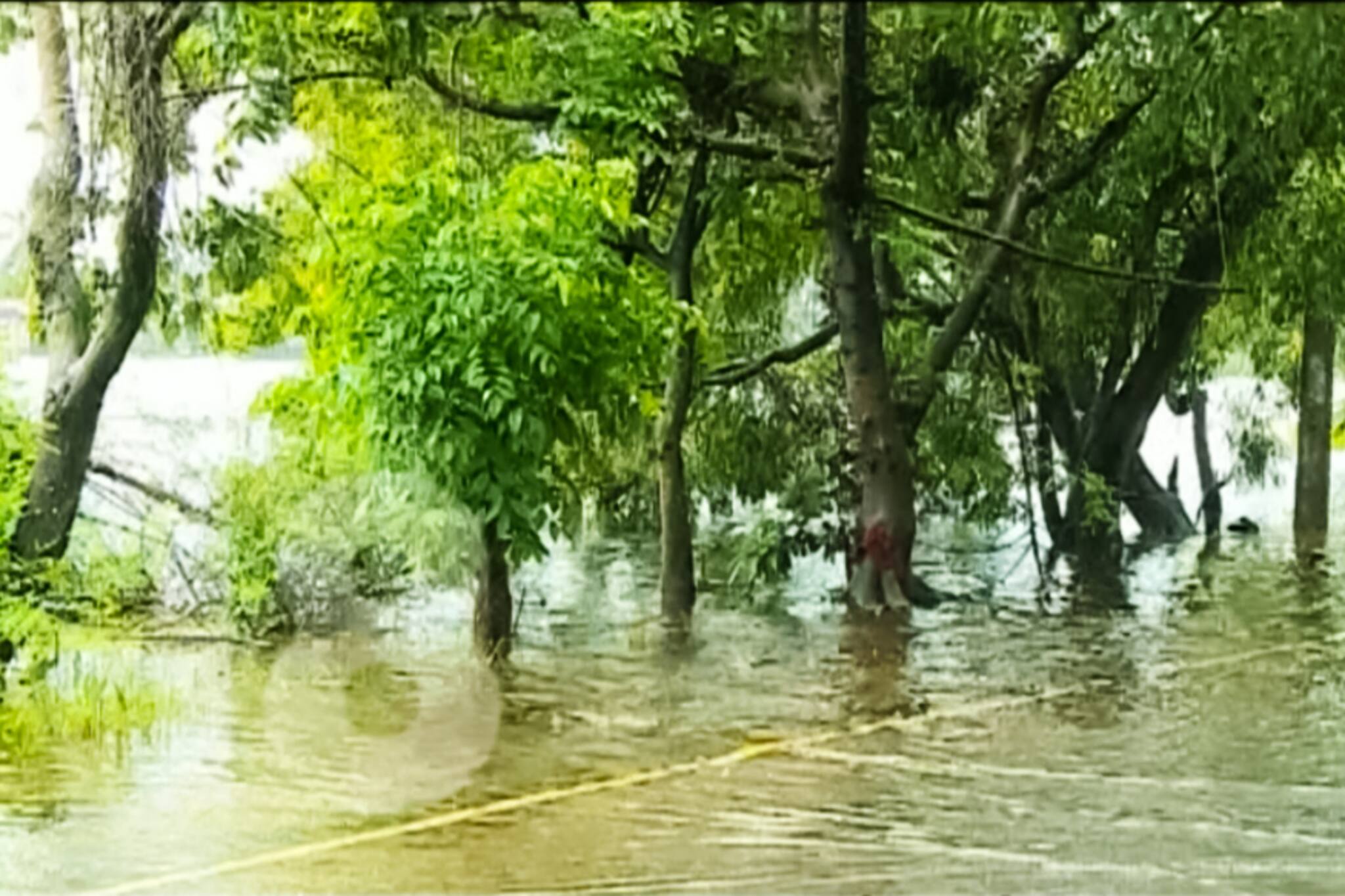 കാലവർഷക്കെടുതി വിലയിരുത്താൻ കുട്ടനാട്ടിൽ കേന്ദ്രസംഘമെത്തും