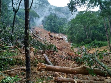 ആശങ്കകളൊഴിഞ്ഞിട്ടില്ല; പ്രതീക്ഷ ഏറെയുണ്ട്....വെള്ളപ്പൊക്കം: ചിത്രങ്ങളിലൂടെ ആശങ്കകളൊഴിഞ്ഞിട്ടില്ല; പ്രതീക്ഷ ഏറെയുണ്ട്....വെള്ളപ്പൊക്കം: ചിത്രങ്ങളിലൂടെ