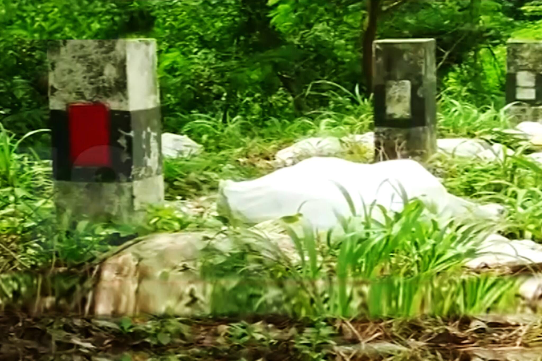 പൊതുനിരത്തുകൾ മാലിന്യ നിക്ഷേപ കേന്ദ്രങ്ങളാകുന്നു