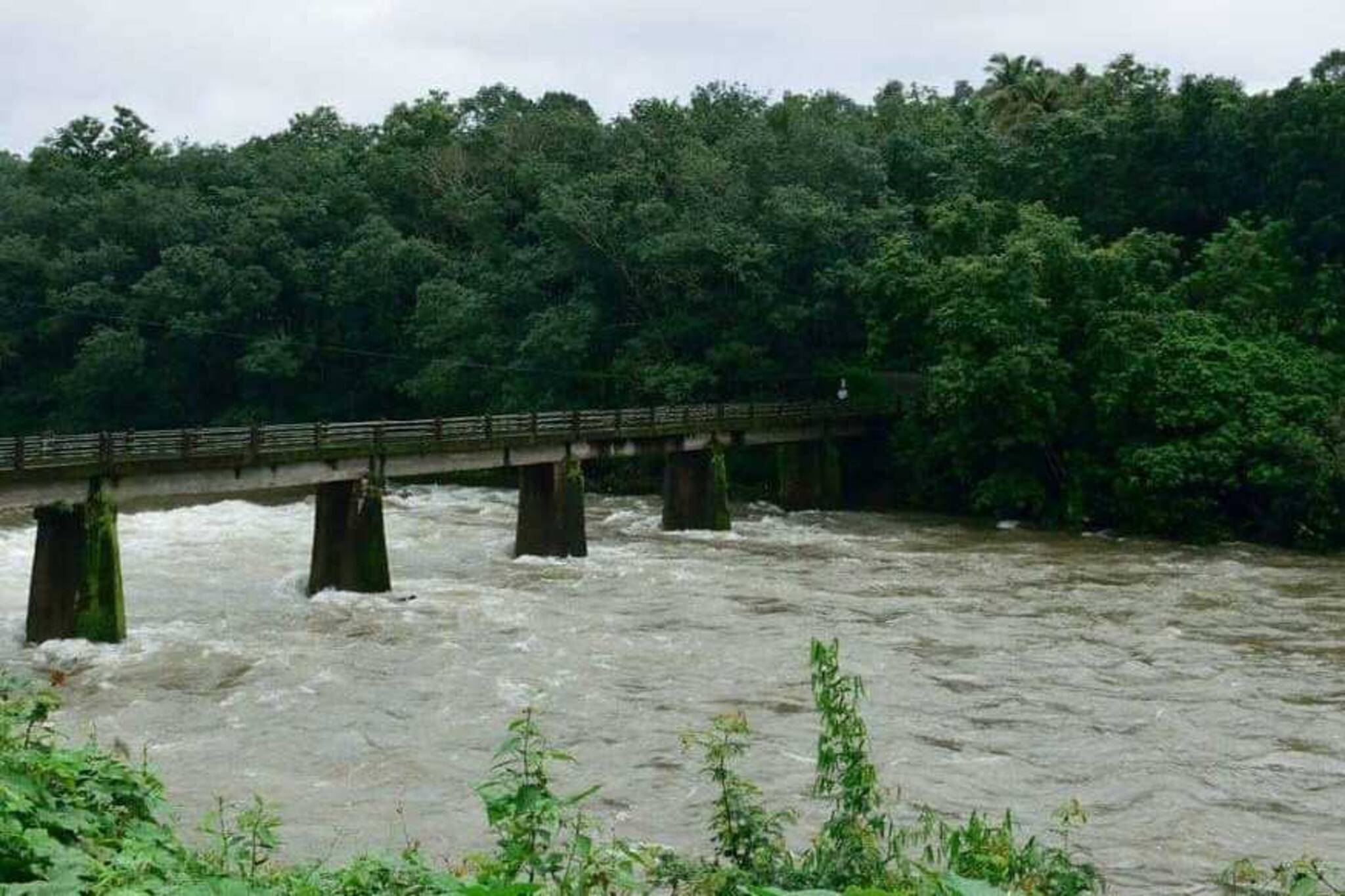 തെളിനീർ വീണ്ടെടുക്കാൻ അവർ ഒരുമിച്ചു; 'എന്റെ മണിമലയാര്‍ പുഴപഠനം'