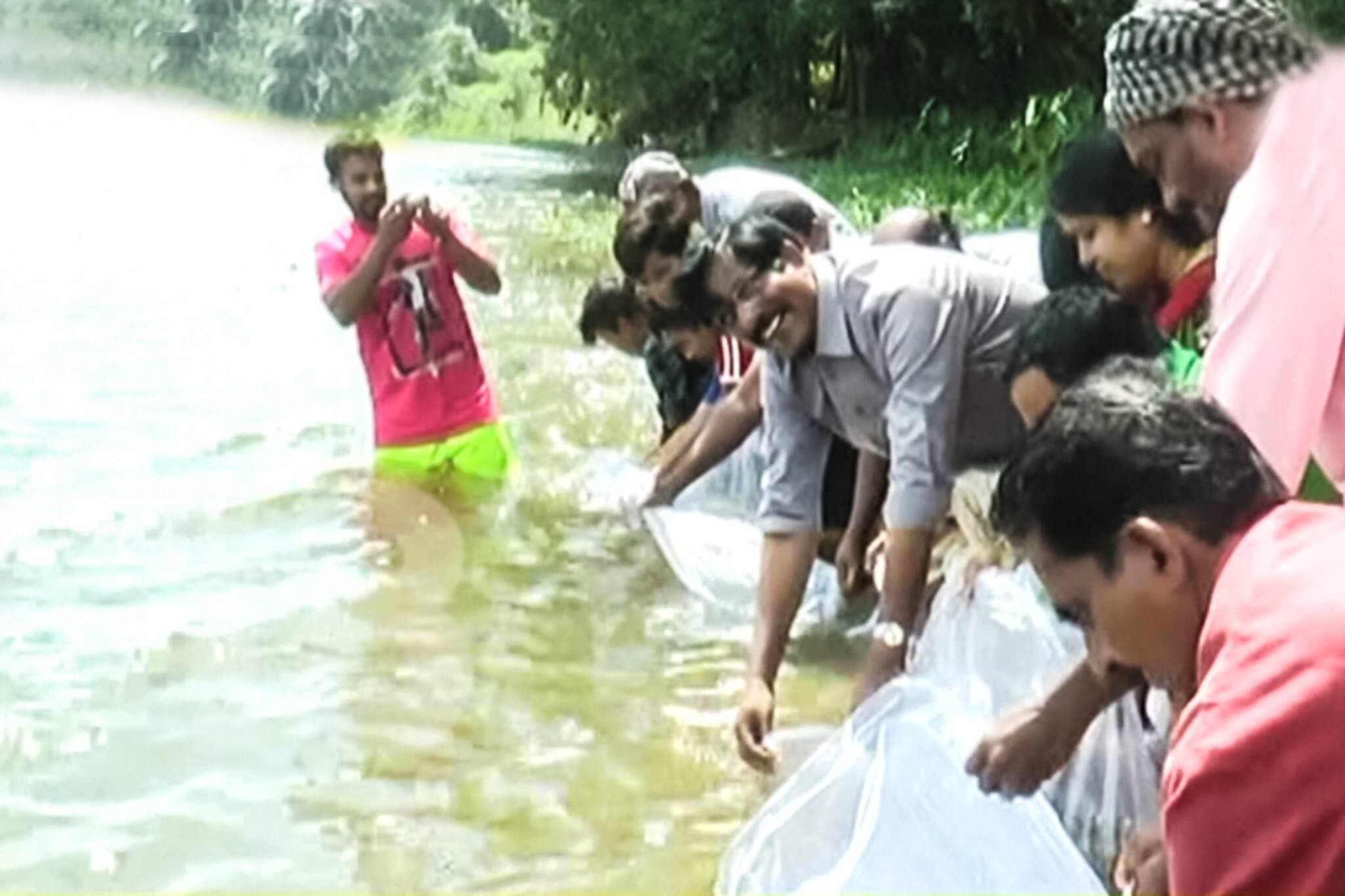 ഇതാ ജലസംഭരണിയിൽ രണ്ട് ലക്ഷം മത്സ്യക്കുഞ്ഞുങ്ങൾ