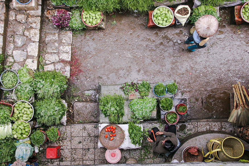 Leafy-Green-Vegetables