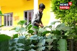 ജൈവ പച്ചക്കറി കൃഷിയുടെ വിളവെടുപ്പ് ഉൽസവം