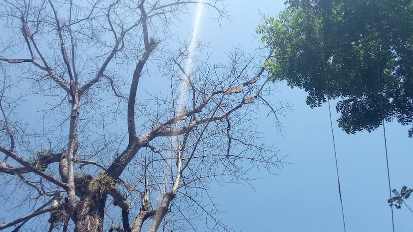  മുവാറ്റുപുഴ കുന്നയ്ക്കാൽ തേവർമഠത്തിൽ ബെന്നിയുടെ മകൾ അലീന (13)യാണ് തേനീച്ചയുടെ കുത്തേറ്റ് ഈ വർഷം ആദ്യം മരിച്ചത്