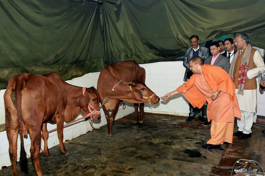 പശുക്കളെ സംരക്ഷിക്കണം; മദ്യത്തിന് പ്രത്യേക നികുതി ഏർപ്പെടുത്തി യോഗി ആദിത്യനാഥ് സർക്കാർ