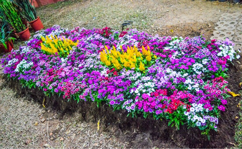  ജൈവവളങ്ങൾ, വിവിധ കാർഷിക ഉപകരണങ്ങൾ, അത്യുൽപ്പാദന ശേഷിയുള്ള വിത്തുകൾ തുടങ്ങിയവ കൃഷിവകുപ്പിന്റെ സ്റ്റാളിൽനിന്ന‌് വാങ്ങാം (ഫോട്ടോ- അനൂപ് സുരേന്ദ്രൻ)