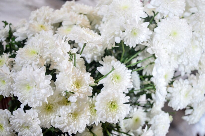  സംസ്ഥാന വനം -വന്യജീവി വകുപ്പ് ഒരുക്കുന്ന വനക്കാഴ്ച, ഹോർട്ടികോർപ്പിന്റെ തേൻകൂട്, മലബാർ ബൊട്ടാണിക്കൽ ഗാർഡൻ ഒരുക്കുന്ന ജലസസ്യ പ്രദർശനം, കാവുകളുടെ നേർക്കാഴ്ച തുടങ്ങിയവയും മേളയിലുണ്ട് (ഫോട്ടോ- അനൂപ് സുരേന്ദ്രൻ)