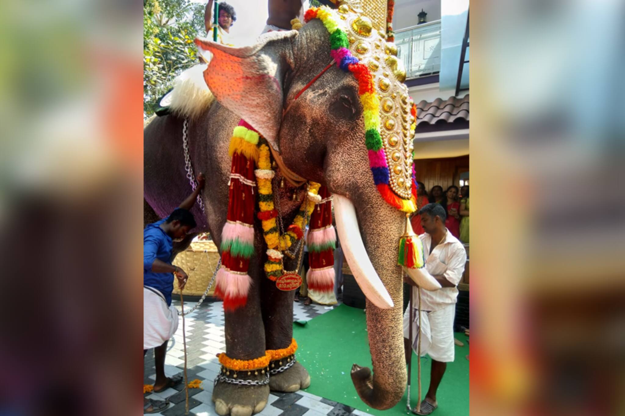 വീട്ടുകാരന്റെ പൊങ്ങച്ചം വിരുന്നുകാരന്റെ ജീവനെടുത്തു 
