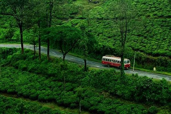 വിനോദസഞ്ചാര കേന്ദ്രമായ ഗവിയില് സന്ദര്ശകര്ക്ക് വിലക്കേര്പ്പെടുത്തി. മൂന്ന് ദിവസത്തേക്കാണ് വിലക്കേര്പ്പെടുത്തിയിരിക്കുന്നത്. വിനോദസഞ്ചാര കേന്ദ്രമായ ഗവിയില് സന്ദര്ശകര്ക്ക് വിലക്കേര്പ്പെടുത്തി. മൂന്ന് ദിവസത്തേക്കാണ് വിലക്കേര്പ്പെടുത്തിയിരിക്കുന്നത്.