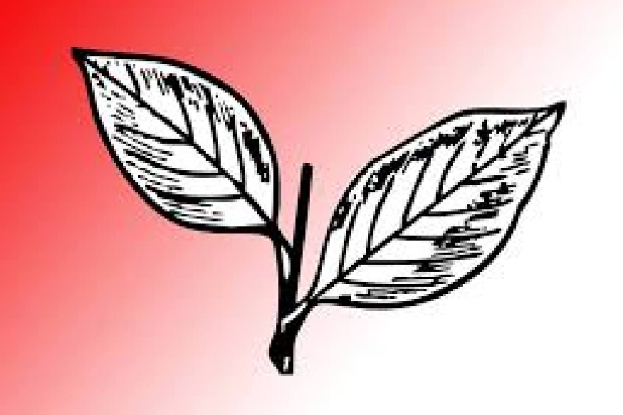 പൊന്നാപുരം കോട്ട കൈവിട്ടു; പാലായിൽ കേരള കോൺഗ്രസ് സമരത്തിനിറങ്ങി