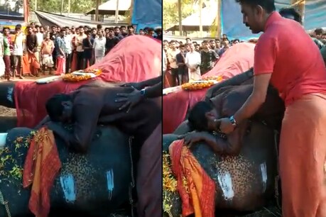 'എന്റെ കുഞ്ഞാ..' ചരിഞ്ഞ കൊമ്പനെ കെട്ടിപ്പിടിച്ച് കരഞ്ഞ് പാപ്പാന്; കരളിലിയിച്ച് ഒരു സ്നേഹ കഥ 'എന്റെ കുഞ്ഞാ..' ചരിഞ്ഞ കൊമ്പനെ കെട്ടിപ്പിടിച്ച് കരഞ്ഞ് പാപ്പാന്; കരളിലിയിച്ച് ഒരു സ്നേഹ കഥ