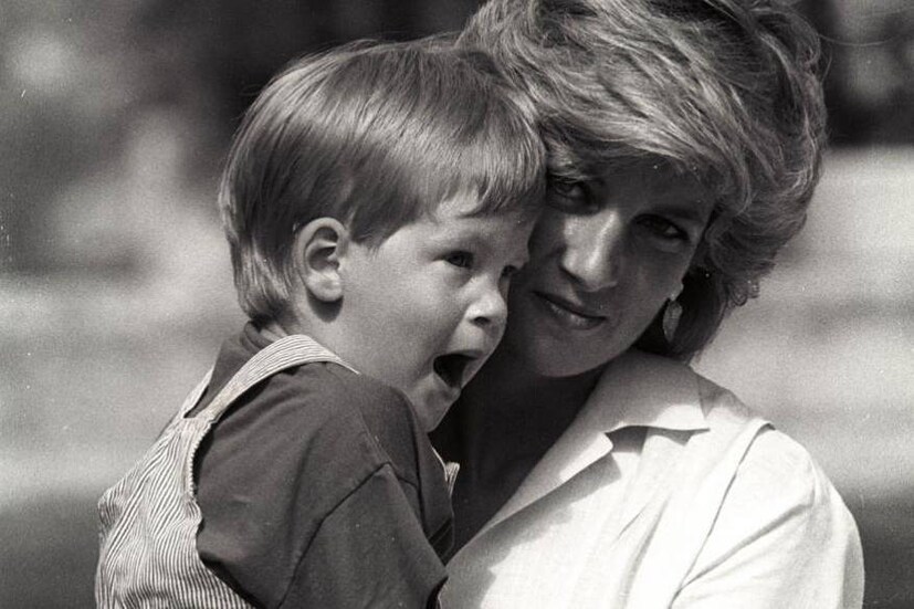 ഹാരി രാജകുമാരന്റെ കുട്ടിക്കാലം  ഹാരി രാജകുമാരന്റെ കുട്ടിക്കാലം