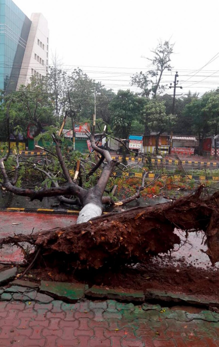  ഫോനിയെ തുടർന്ന് കനത്ത മഴയുണ്ടാകുമെന്നും കടലിൽ അസാധാരണമായ സാഹചര്യം ഉണ്ടാകുമെന്നും കാലാവസ്ഥ നിരീക്ഷണവകുപ്പ് മുന്നറിയിപ്പ്